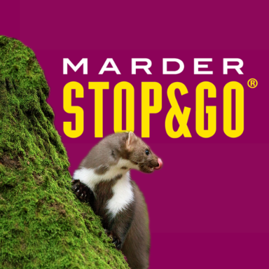 Marderabwehr Marderabwehr von Marder Stop&Go in Erfurt Stotternheim bei Fahrzeugtechnik Herzog